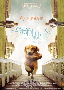 国产一区二区伦理片
